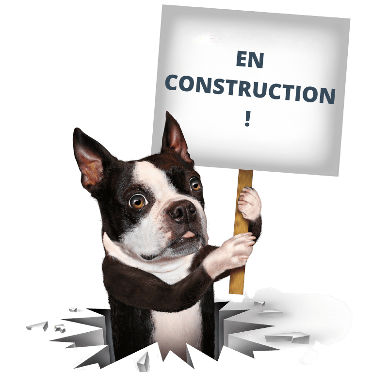un chien qui montre une pancarte en construction